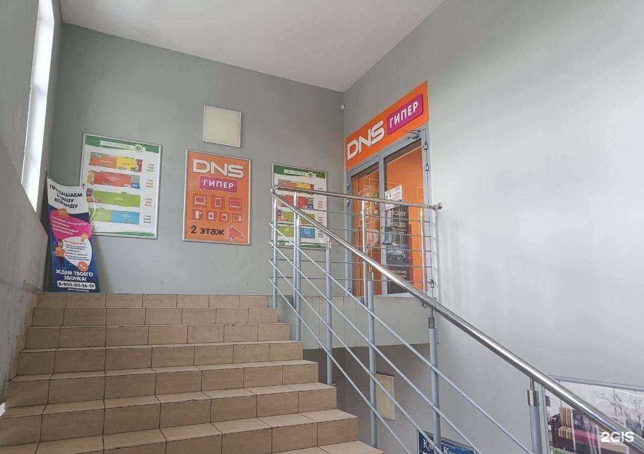 Отзывы на компанию DNS в Нижнем Новгороде c фото