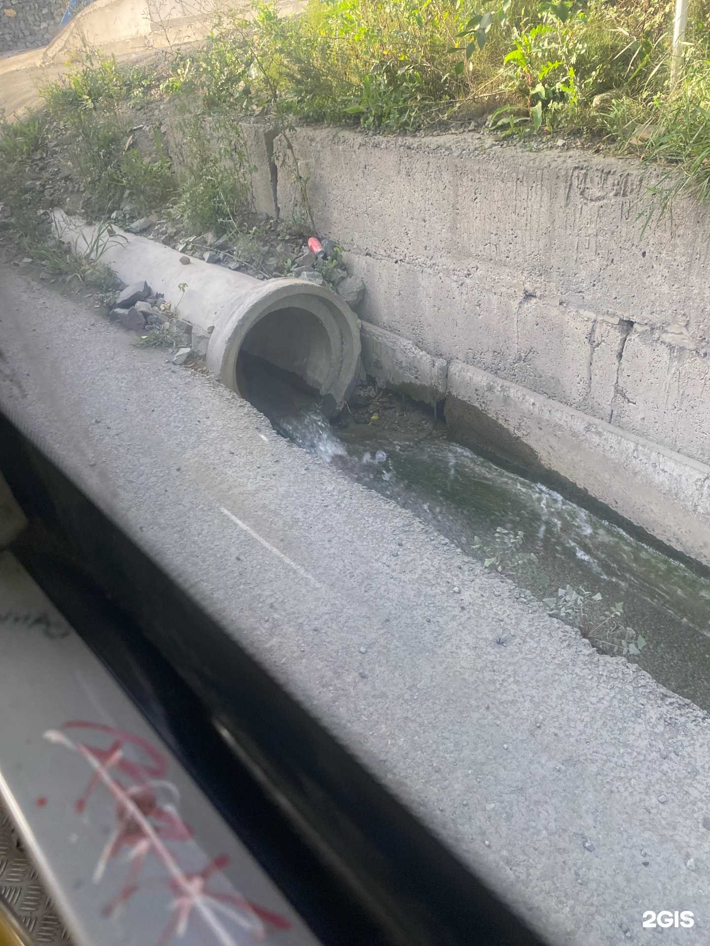 Отзывы на компанию Big in Japan  в Владивостоке c фото - фотография 2 из 2