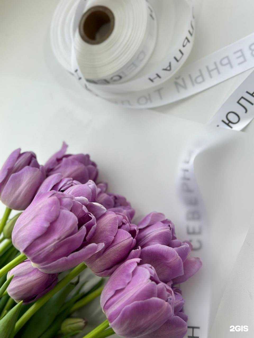 Отзывы на компанию Северный тюльпан в Нижневартовске c фото