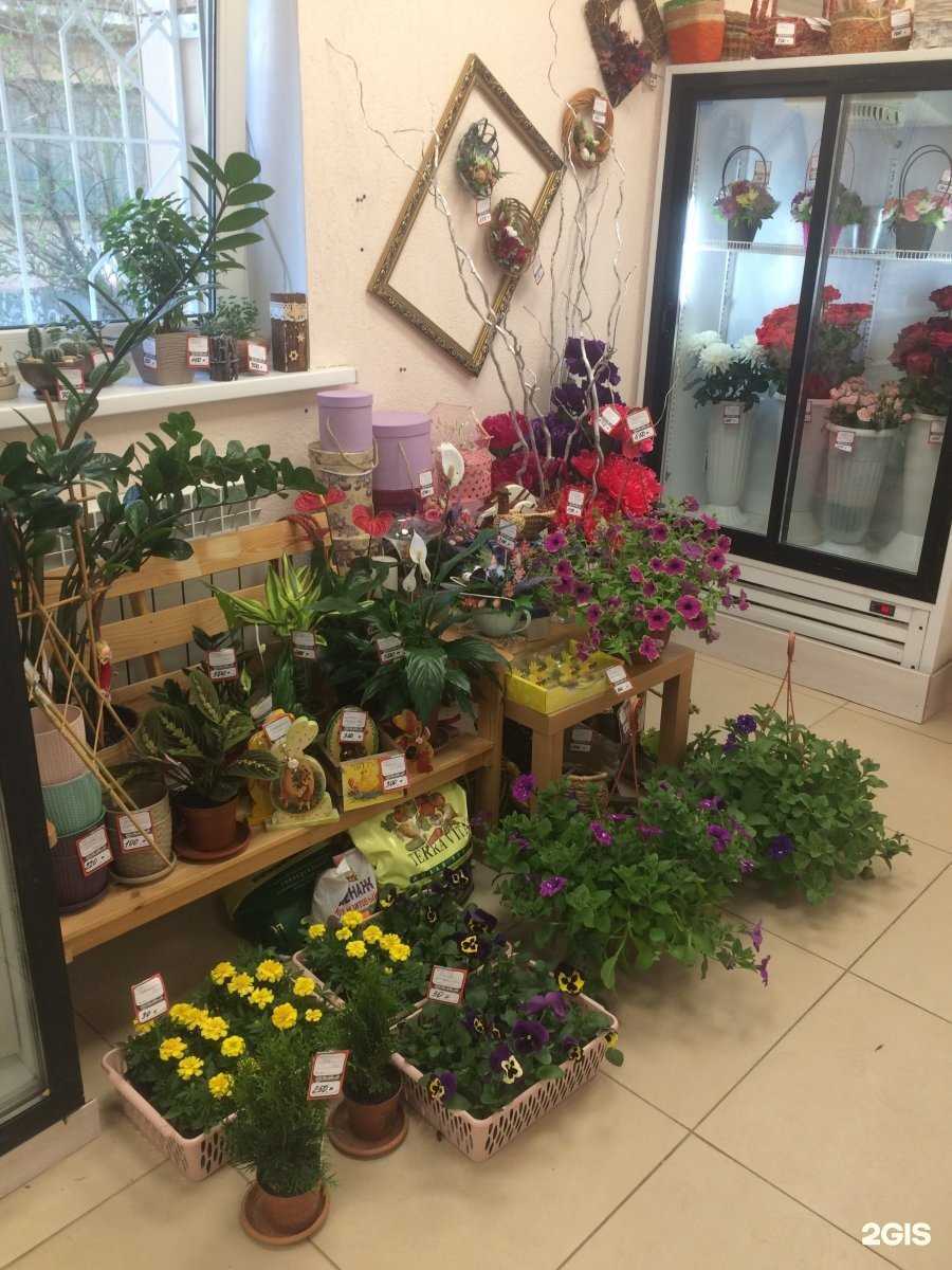 Отзывы на компанию ЦвеТут в г. Орёл c фото