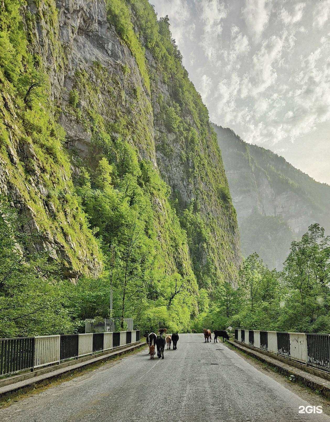 Отзывы на компанию Яроблтур в Ярославле c фото