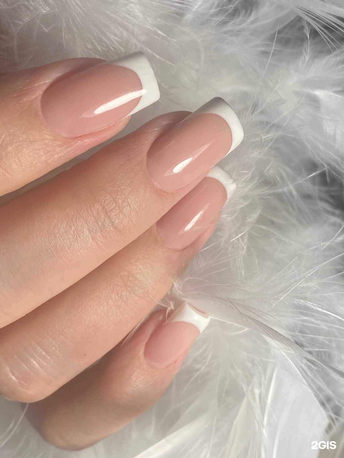 Отзывы на компанию Miami в Новосибирске c фото