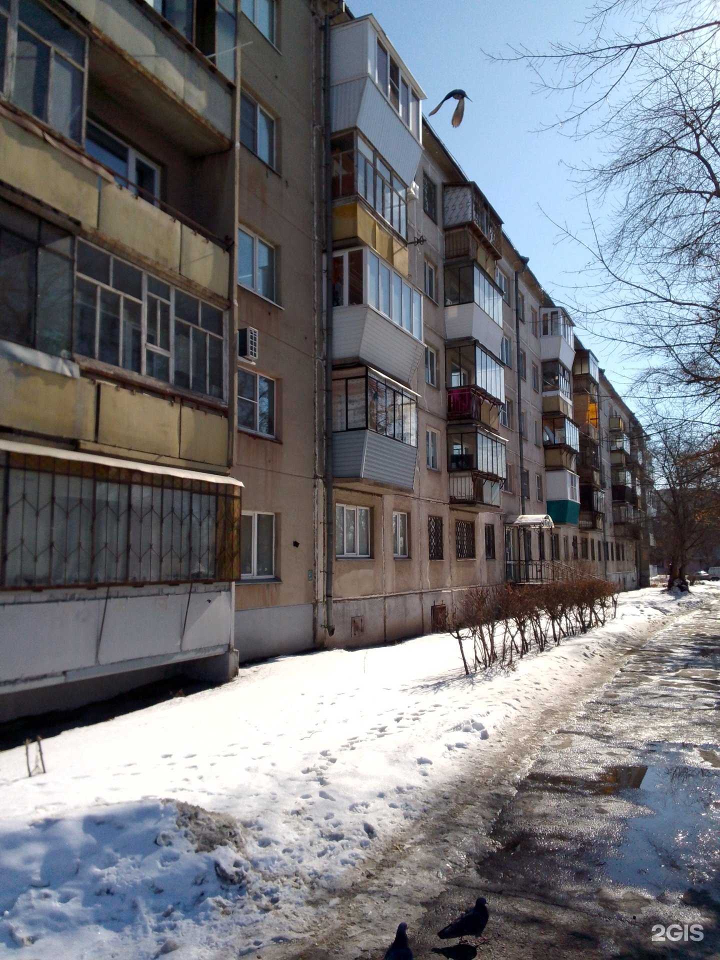 Отзывы на компанию На трёх китах в Магнитогорске c фото - фотография 2 из 2