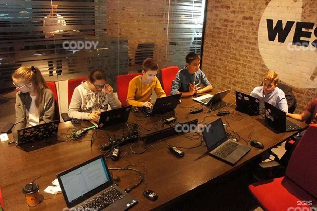 Отзывы на компанию Coddy в Александрове c фото