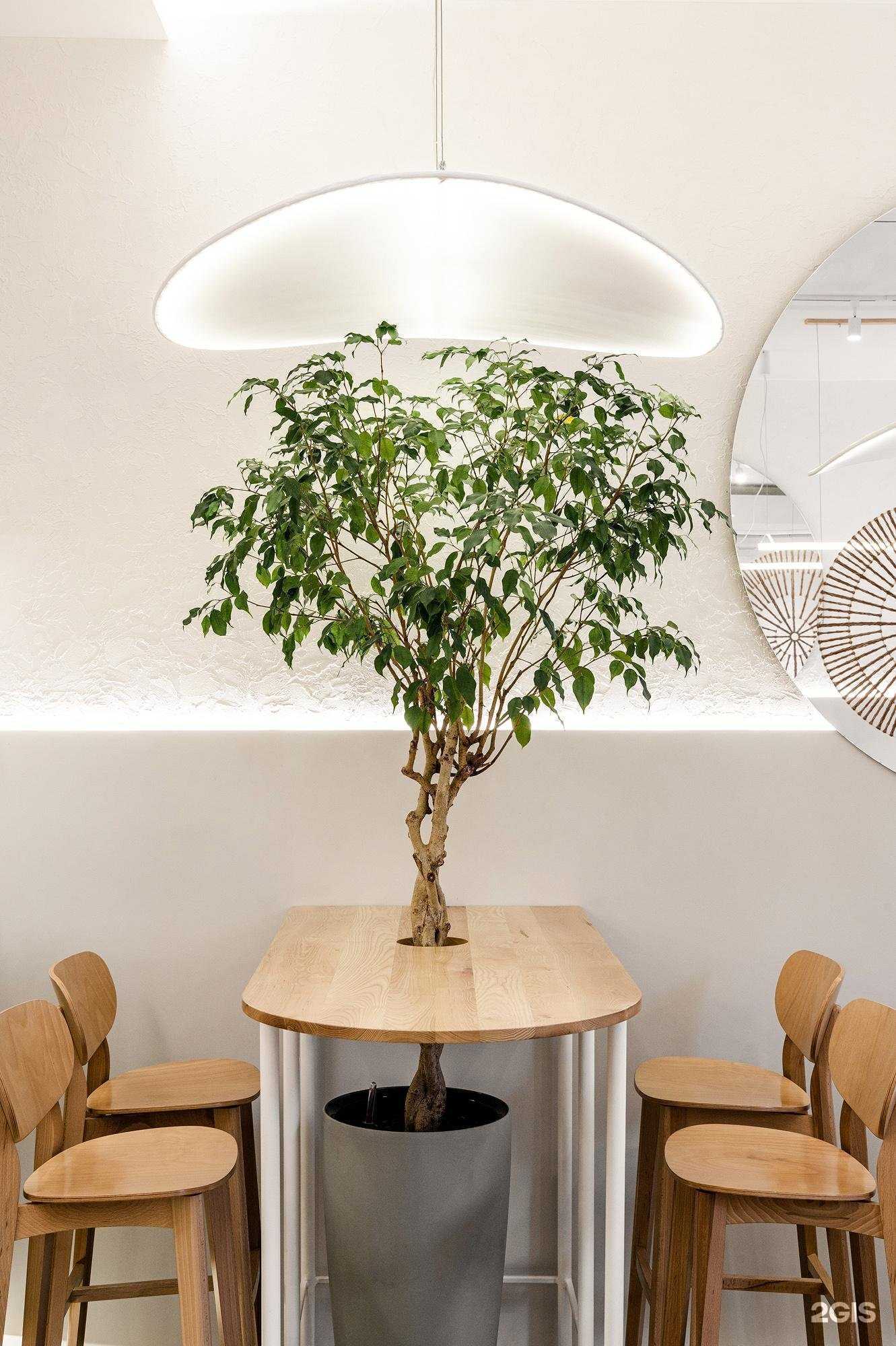 Отзывы на компанию Lulu coffee в Астрахани c фото