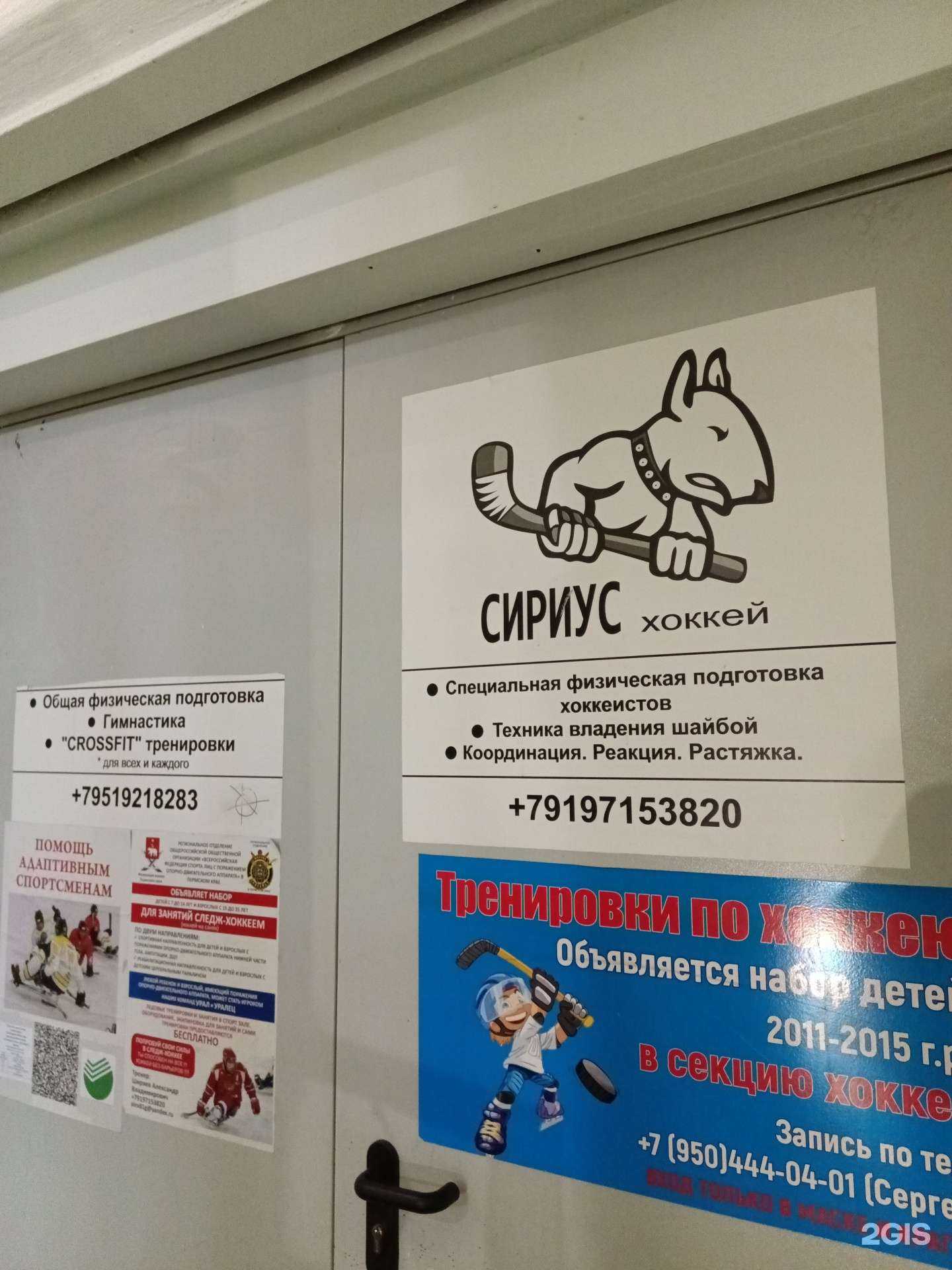 Отзывы на компанию Сириус в Перми c фото