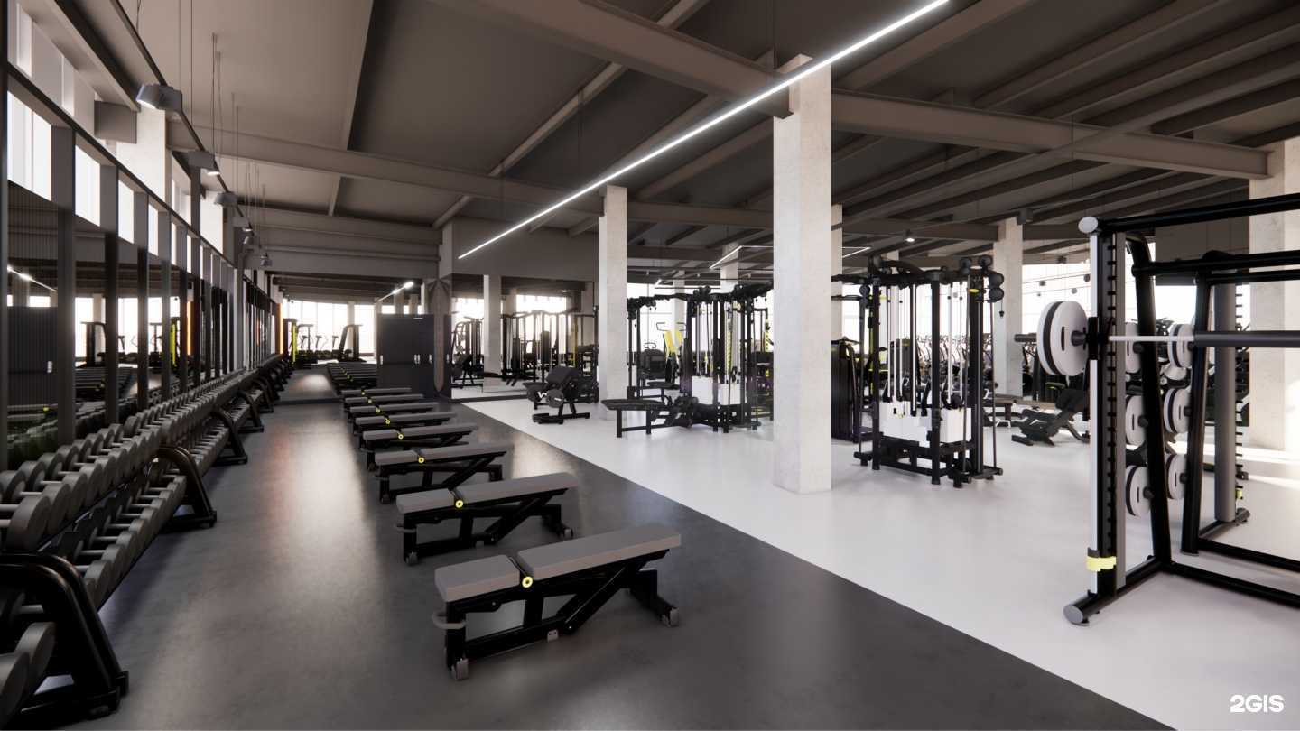 Отзывы на компанию DDX Fitness в г. Барнаул c фото