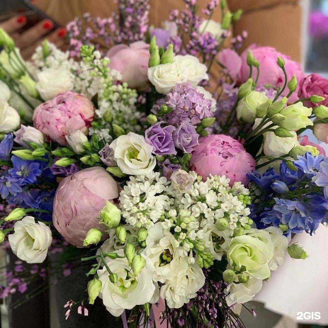 Отзывы на компанию Elite flora в г. Челябинск c фото