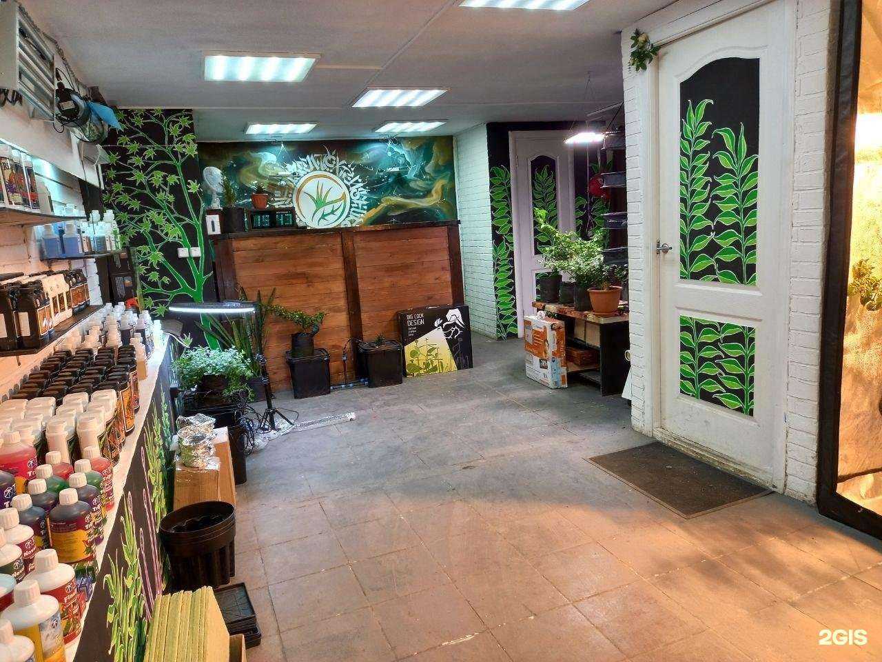 Отзывы на компанию Greenbox в Омске c фото