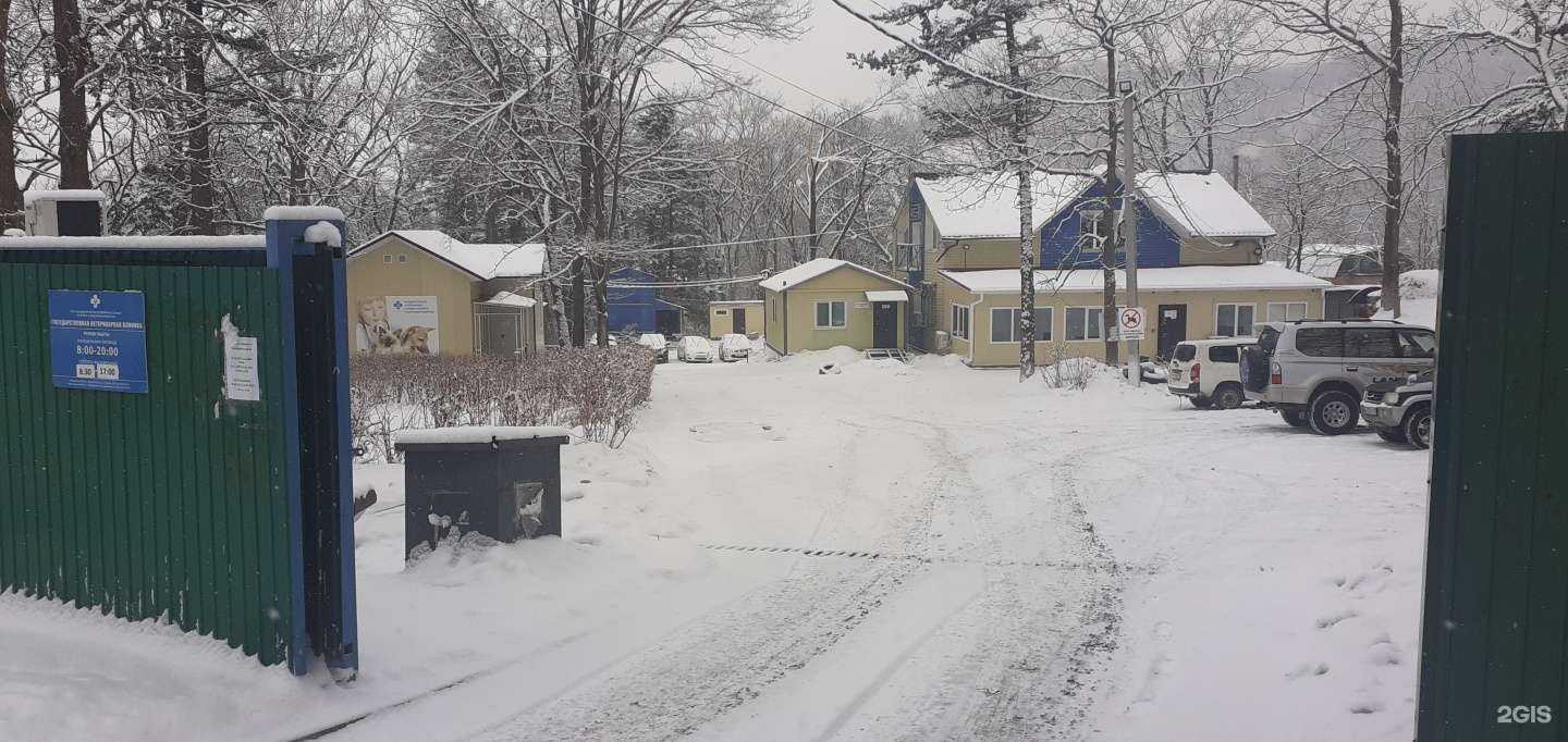 Отзывы на компанию Владивостокская ветеринарная станция по борьбе с болезнями животных в Владивостоке c фото - фотография 2 из 2