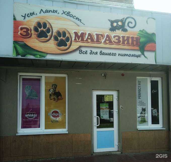 Отзывы на компанию Усы, лапы, хвост в г. Ессентуки c фото