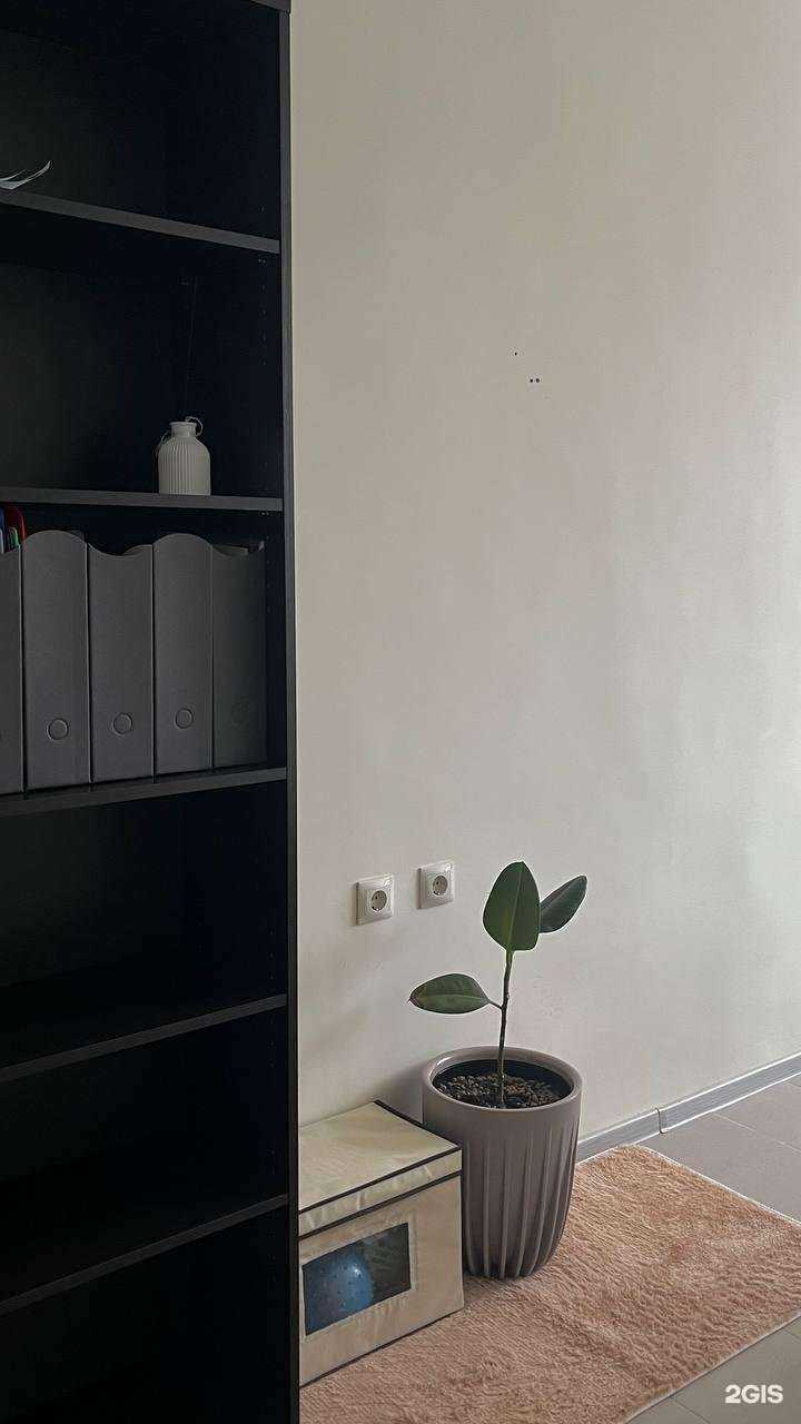 Отзывы на компанию Yolo в Калуге c фото