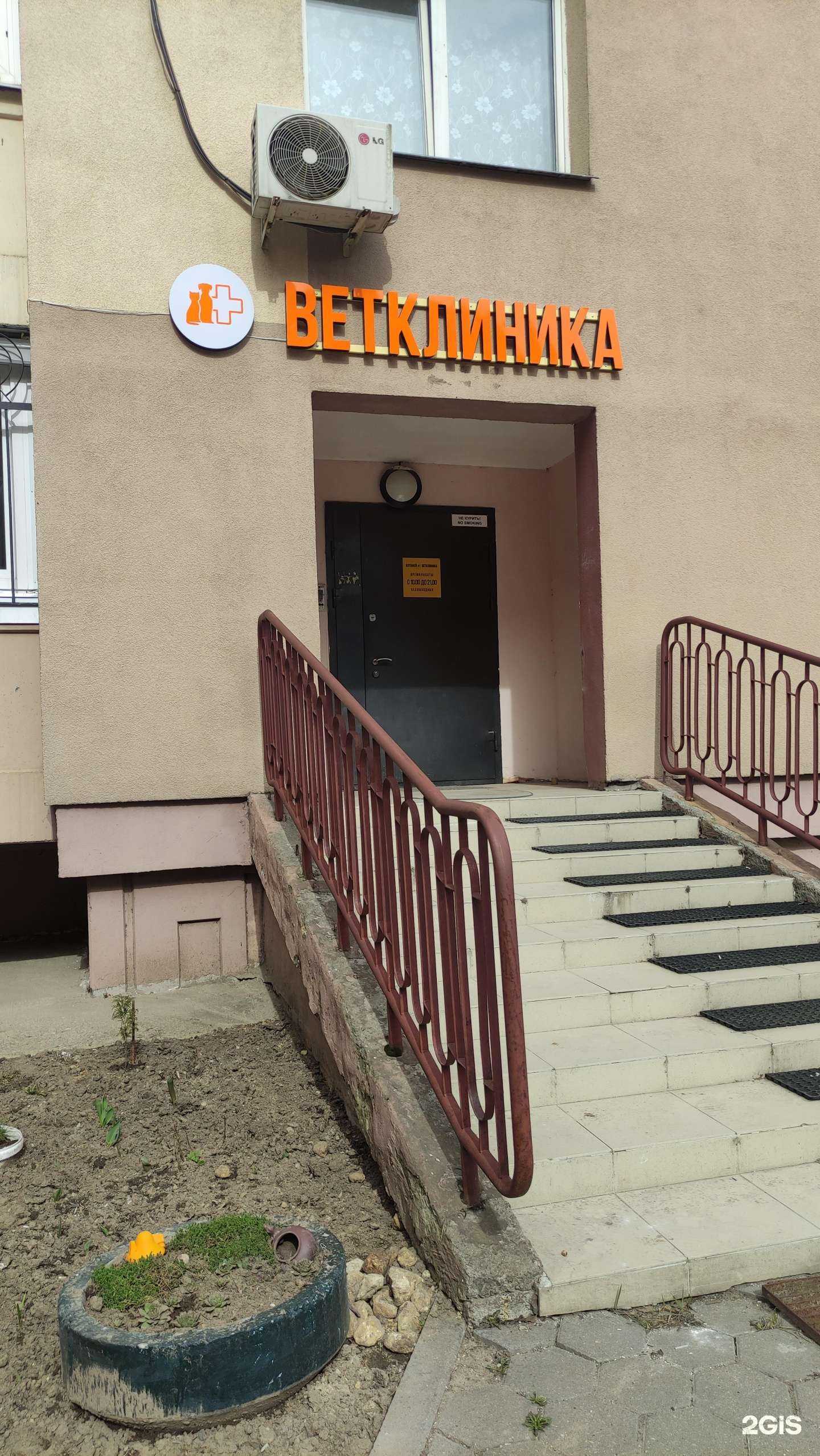 Отзывы на компанию Котофей в г. Видное c фото