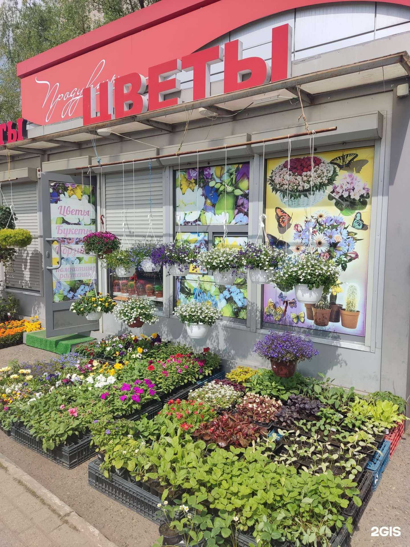 Отзывы на компанию Цветочный салон в Ивантеевке c фото