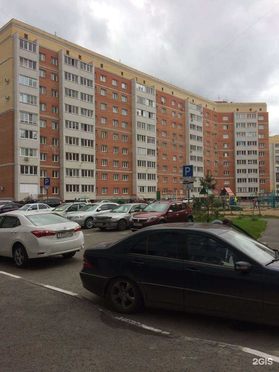 Отзывы на компанию Будокан в Омске c фото - фотография 2 из 2