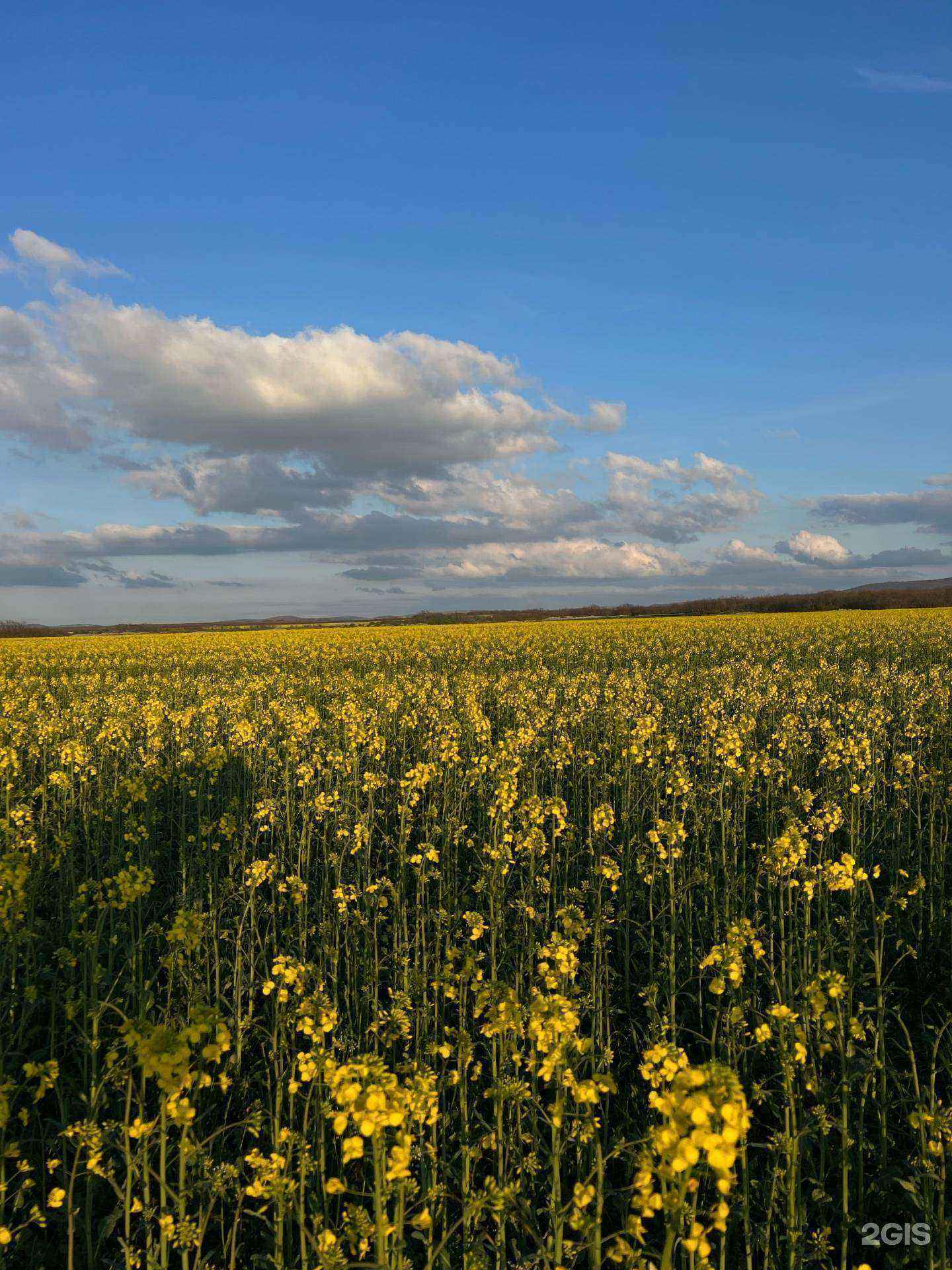 Отзывы на компанию Агентство недвижимости №1 в Анапе c фото