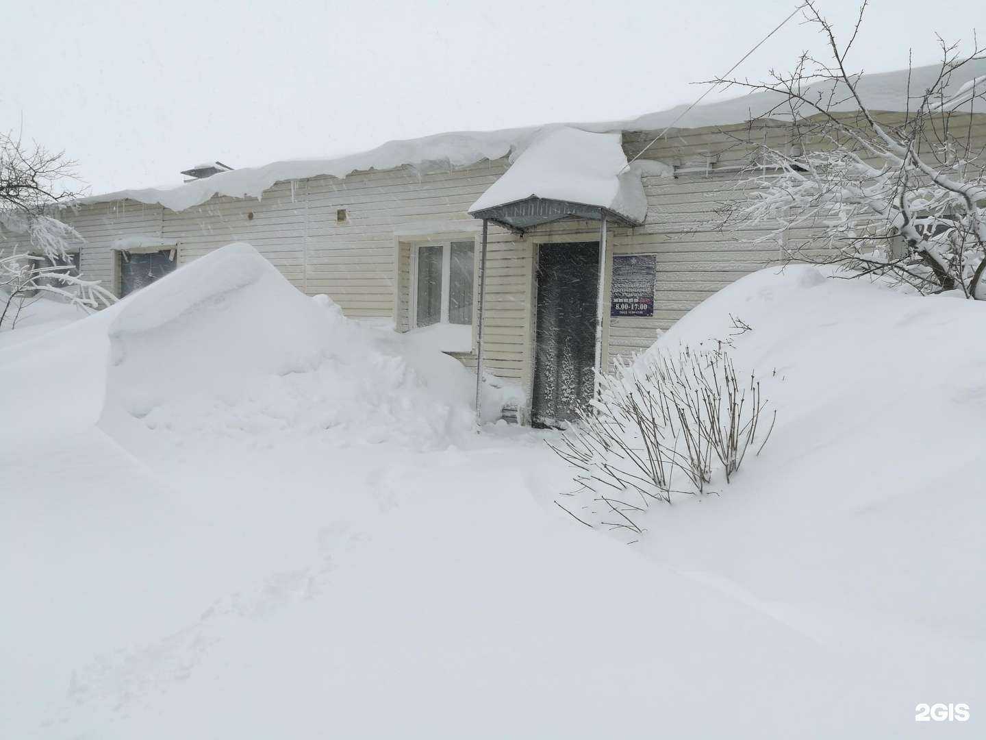 Отзывы на компанию Чебоксарская городская станция по борьбе с болезнями животных в Чебоксарах c фото