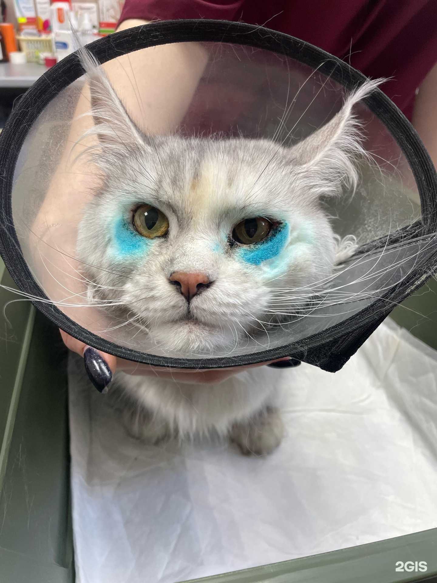 Отзывы на компанию Байкальская Легенда в Иркутске c фото