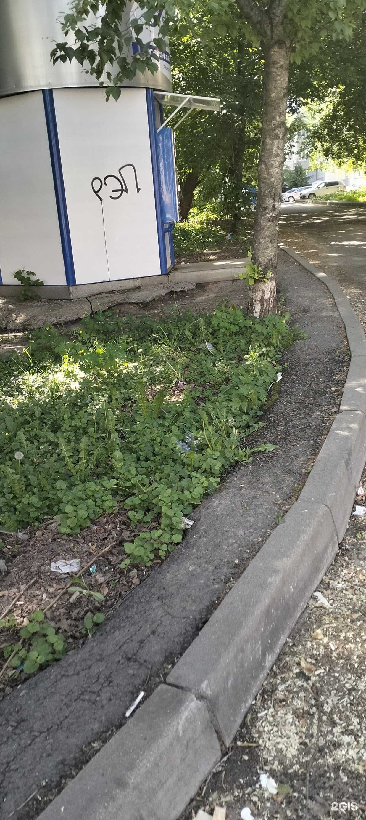 Отзывы на компанию Ключ здоровья в г. Тамбов c фото