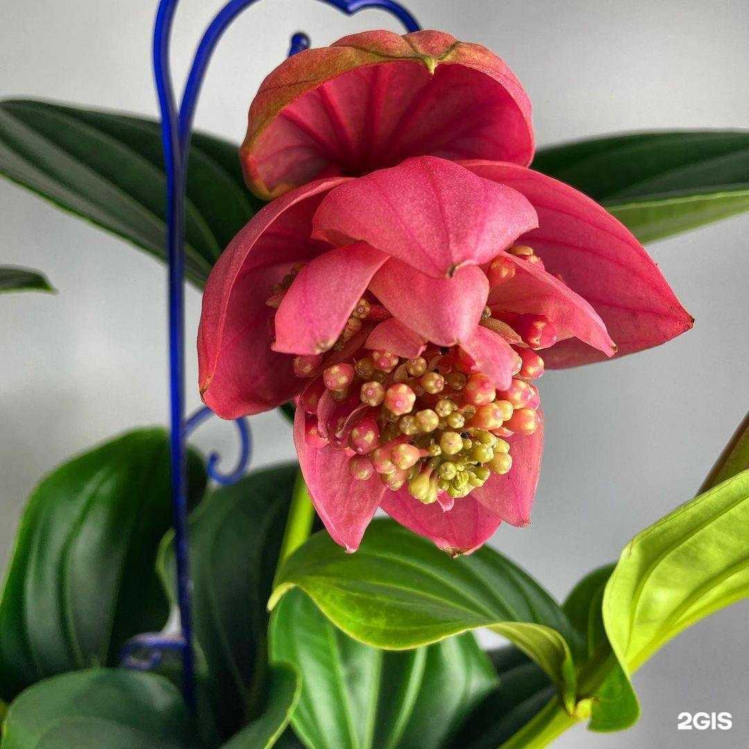 Отзывы на компанию Герберка в Брянске c фото