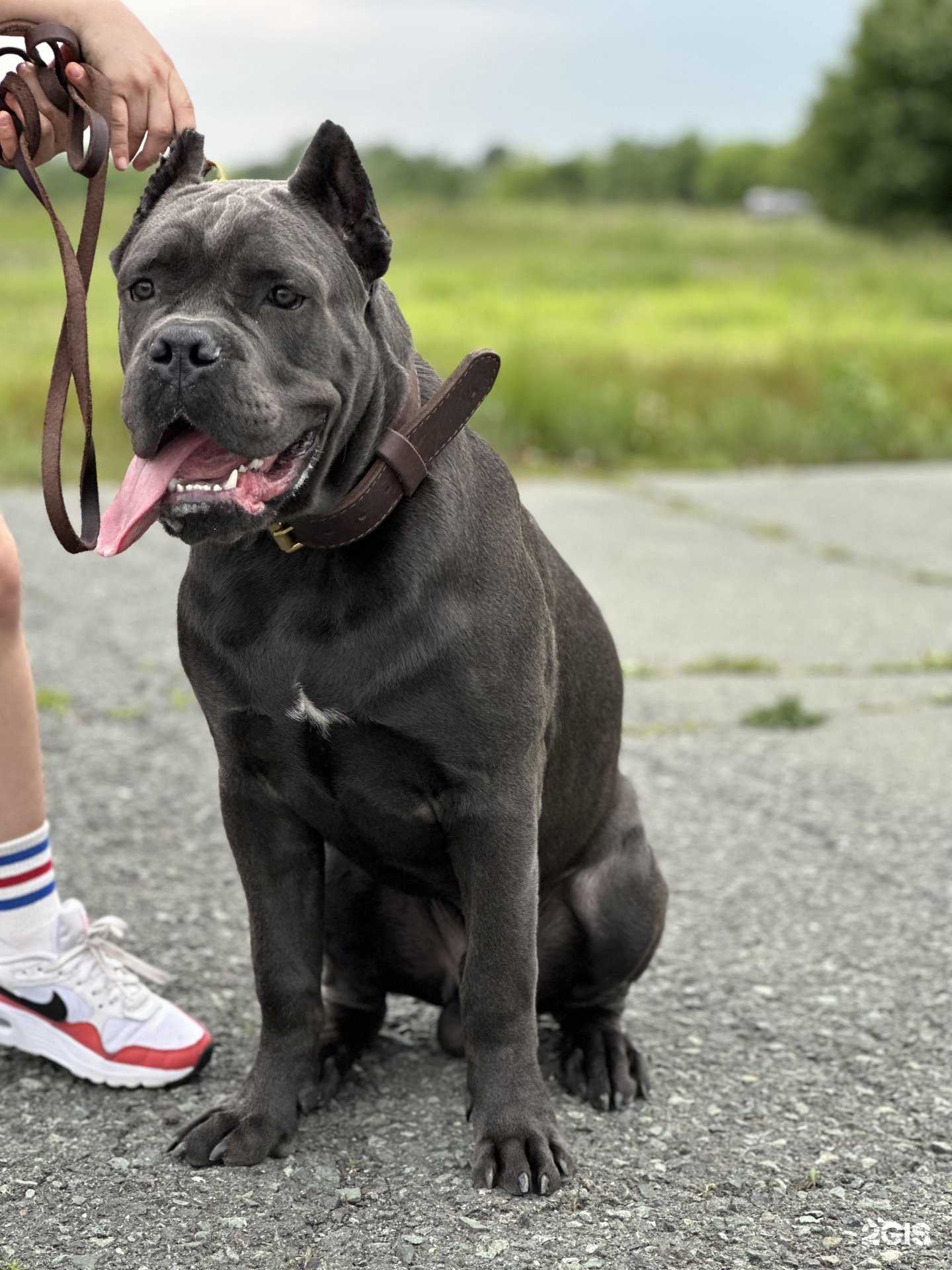 Отзывы на компанию У Богдановых в Владивостоке c фото