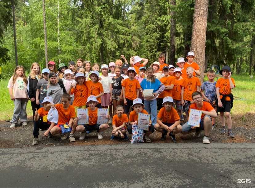 Отзывы на компанию Комаину в Ярославле c фото