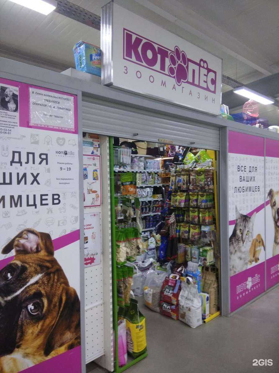 Отзывы на компанию Котопёс в Саратове c фото