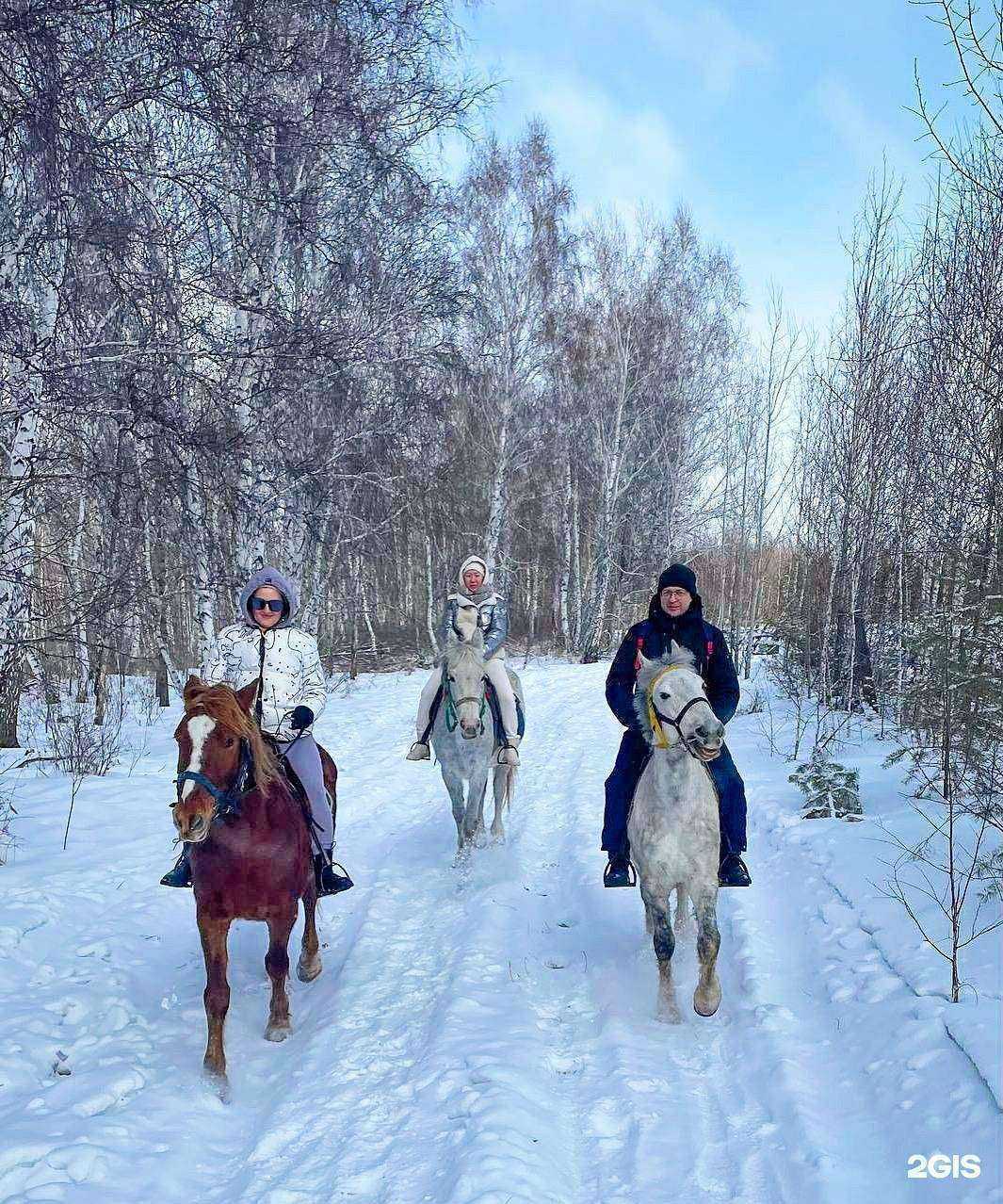 Отзывы на компанию Авангард в г. Иркутск c фото