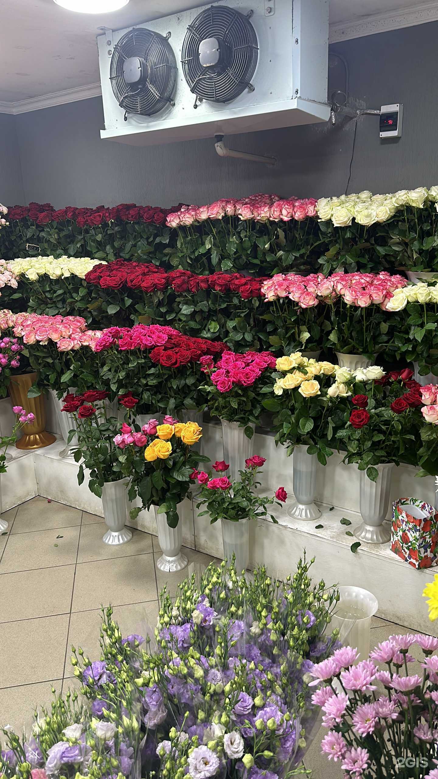 Отзывы на компанию Миллион алых роз в г. Ессентуки c фото