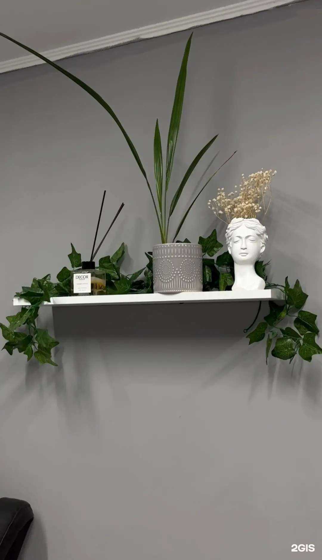 Отзывы на компанию Poli_pups_studio в Кирове c фото