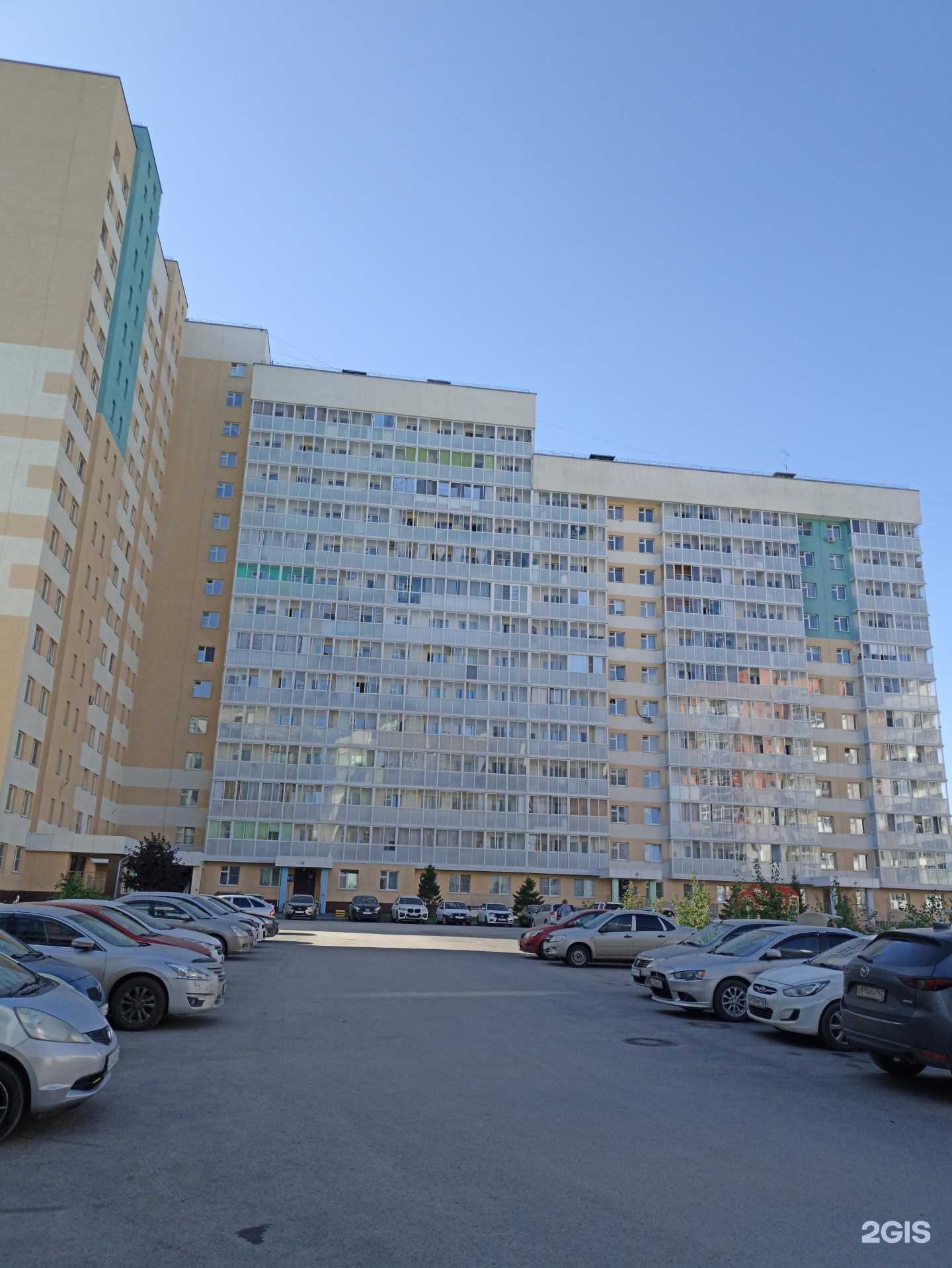 Отзывы на компанию Ваш грумер в Кемерове c фото - фотография 2 из 2