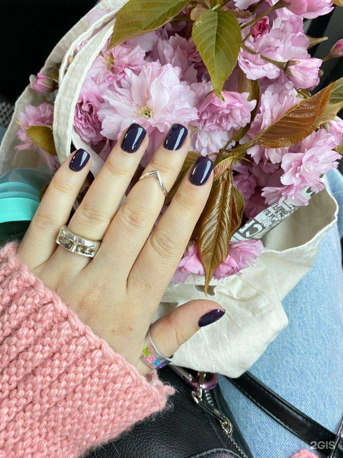 Отзывы на компанию Брусника в Краснодаре c фото