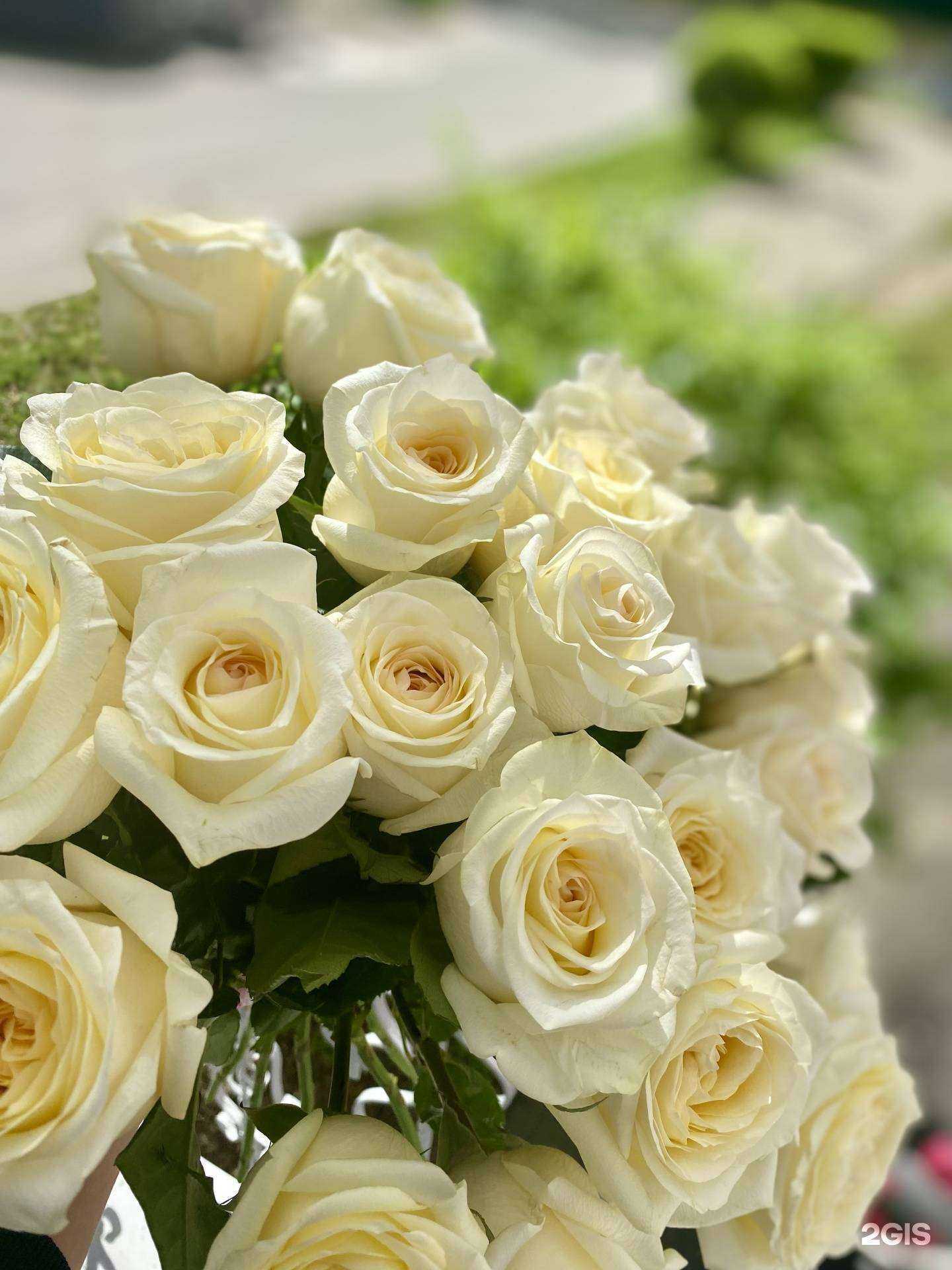 Отзывы на компанию Flora House в г. Комсомольск-на-Амуре c фото