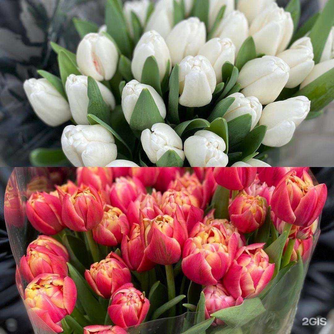 Отзывы на компанию Цветочная мастерская в Волгограде c фото