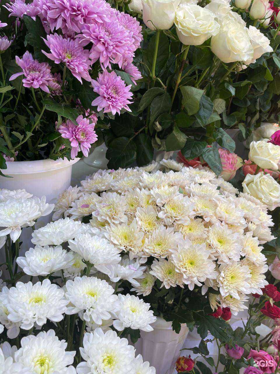 Отзывы на компанию Жасмина в г. Томск c фото