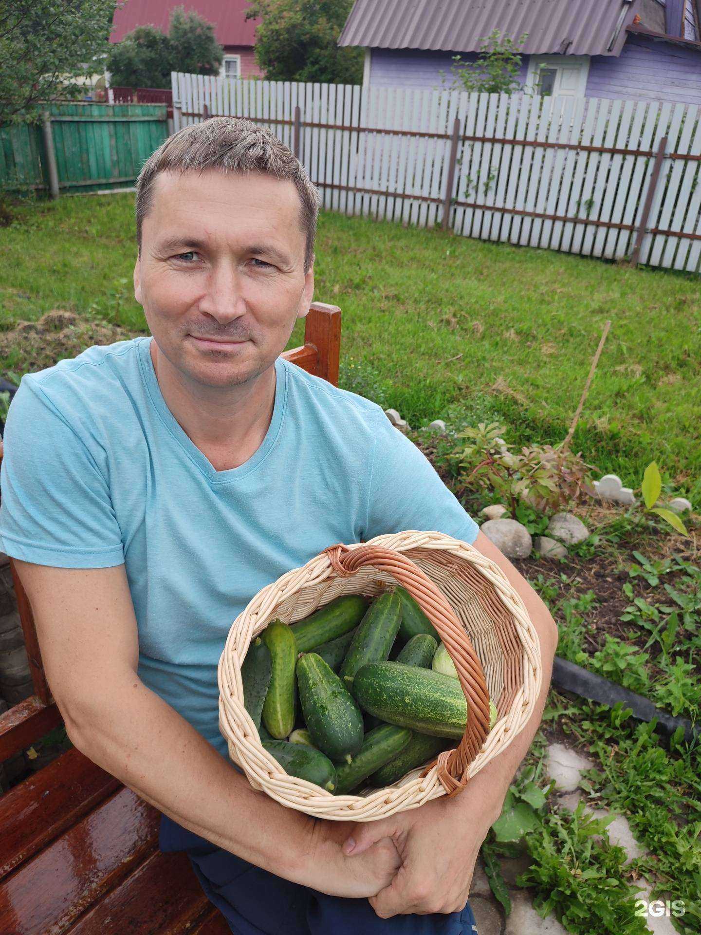 Отзывы на компанию Гражданское право в Череповце c фото