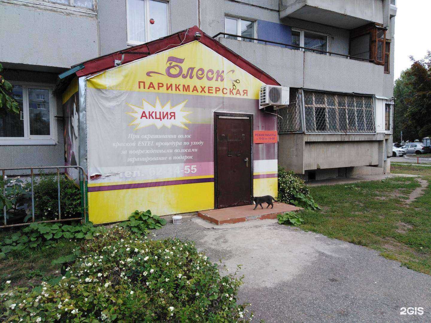 Отзывы на компанию Блеск в г. Тольятти c фото