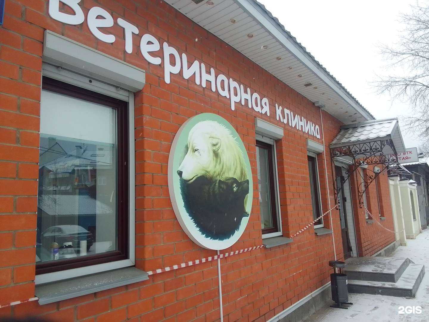 Отзывы на компанию Стая в Твери c фото