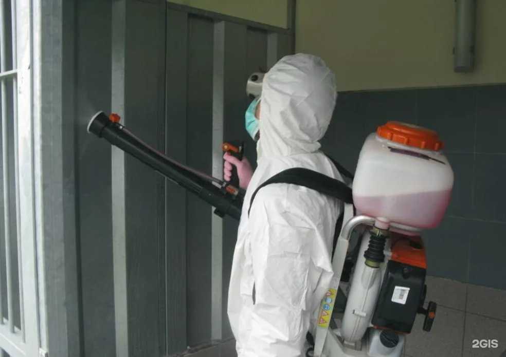Отзывы на компанию ДезКонтроль в Ижевске c фото