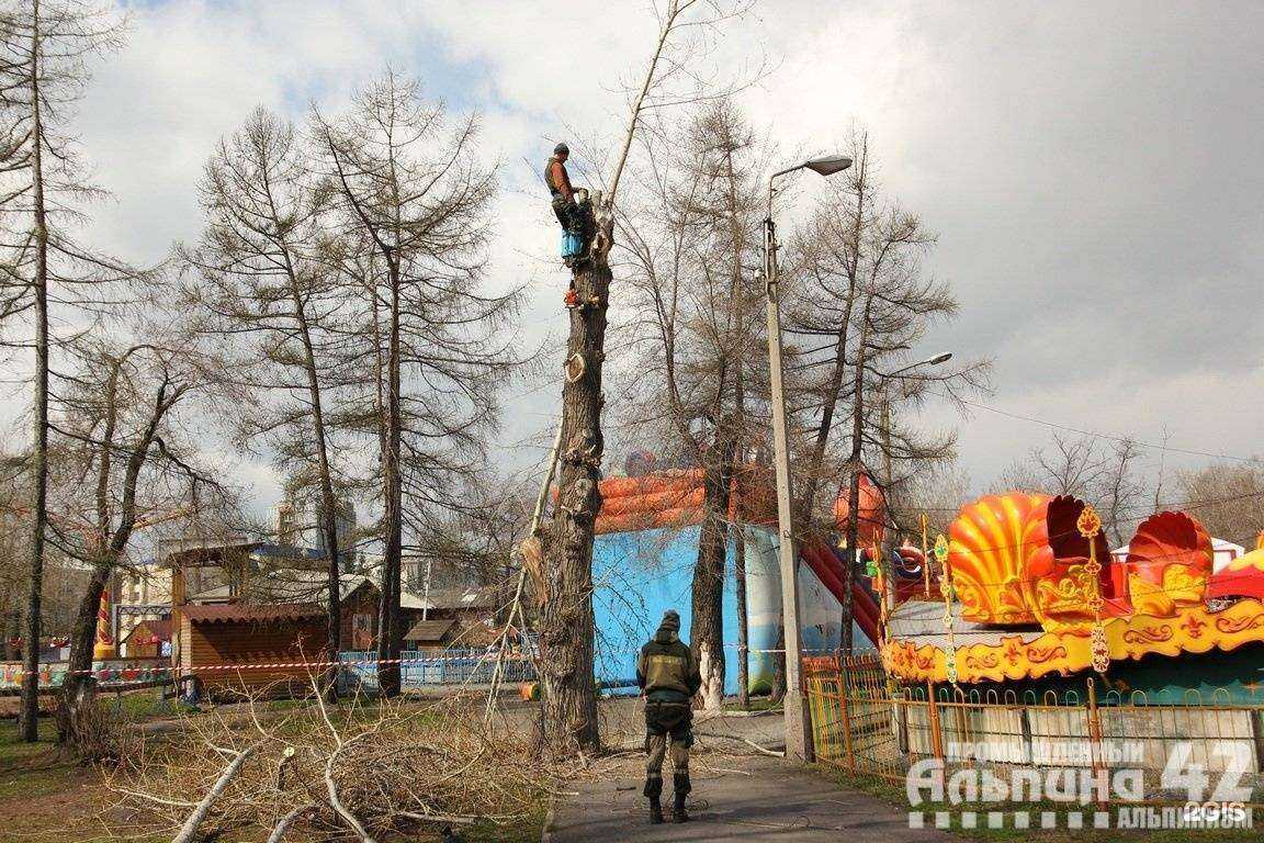 Отзывы на компанию Альпина 42 в г. Кемерово c фото