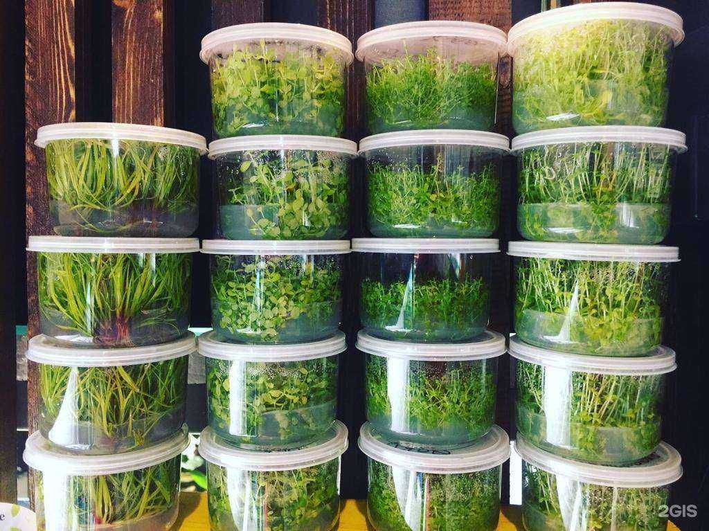 Отзывы на компанию Gidras в г. Краснодар c фото