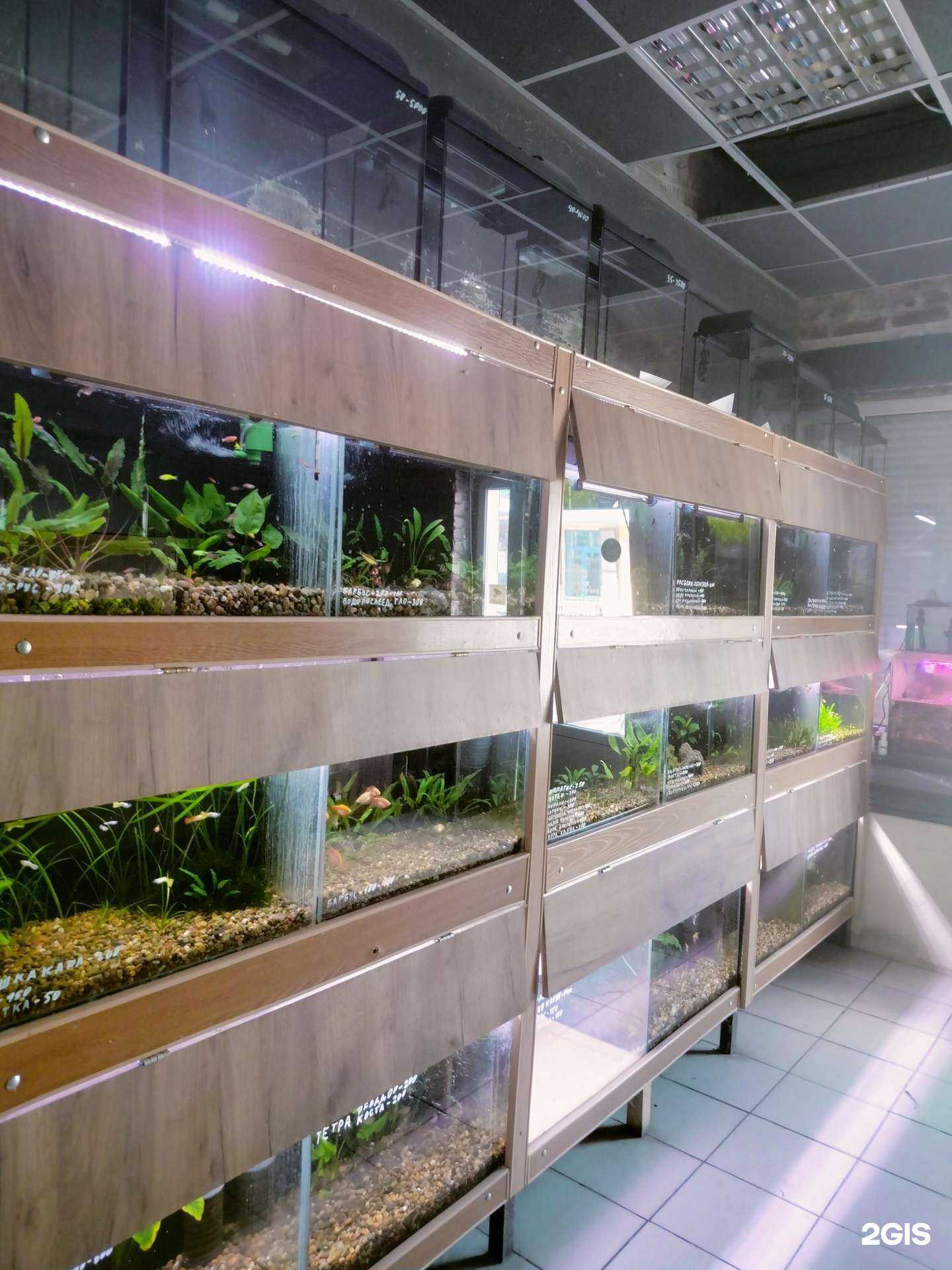 Отзывы на компанию Дуремар в Новочеркасске c фото