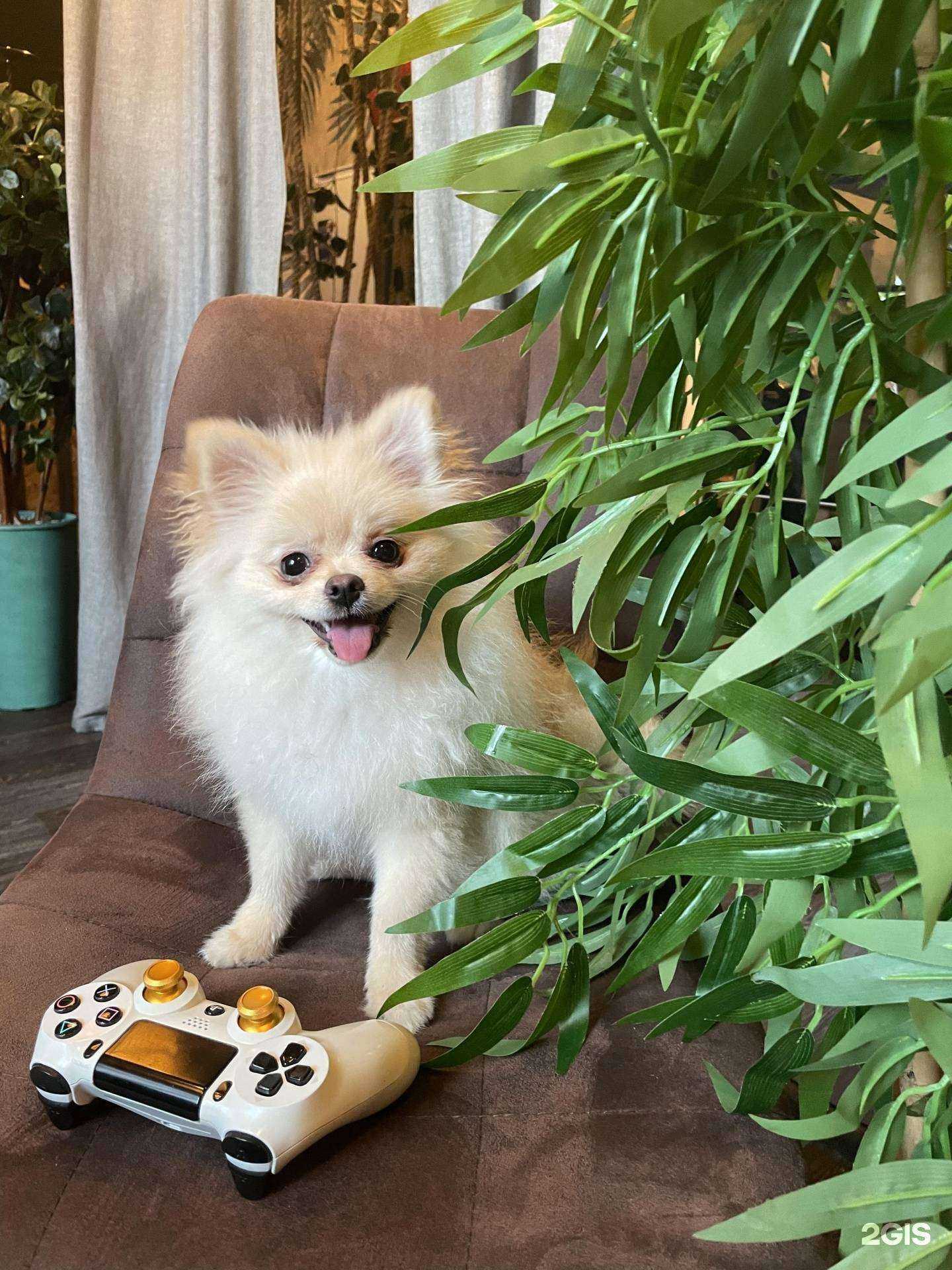 Отзывы на компанию Paradise Time в Ростове-на-Дону c фото