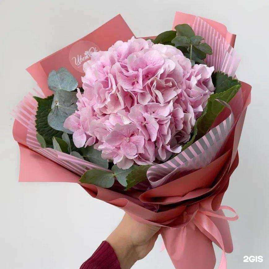 Отзывы на компанию Цвет`ok в Петрозаводске c фото