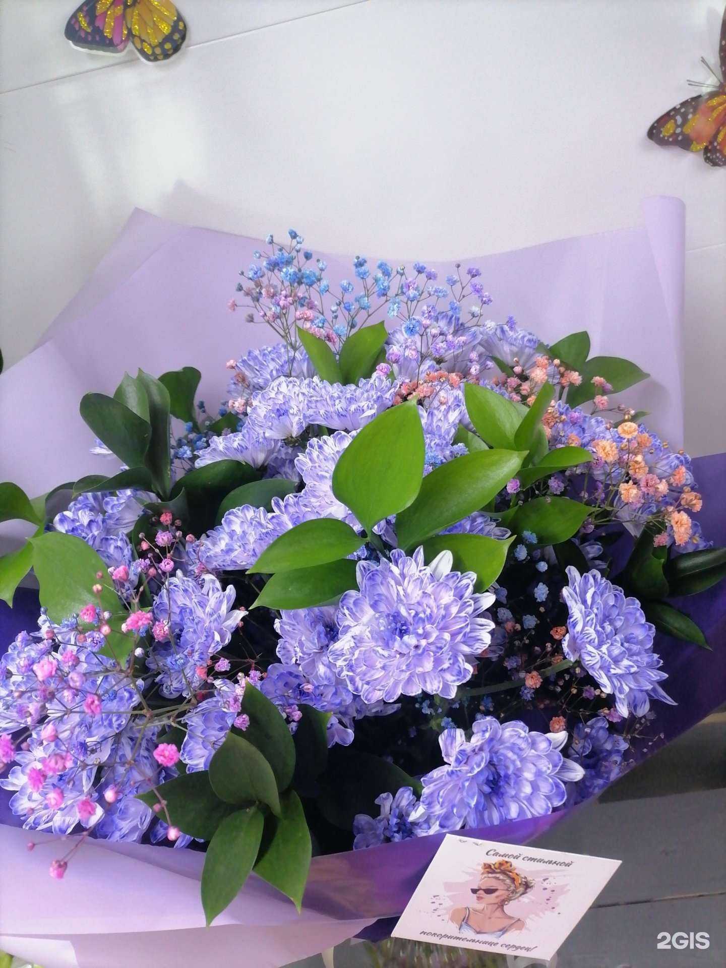 Отзывы на компанию Lavanda в Анжеро-Судженске c фото