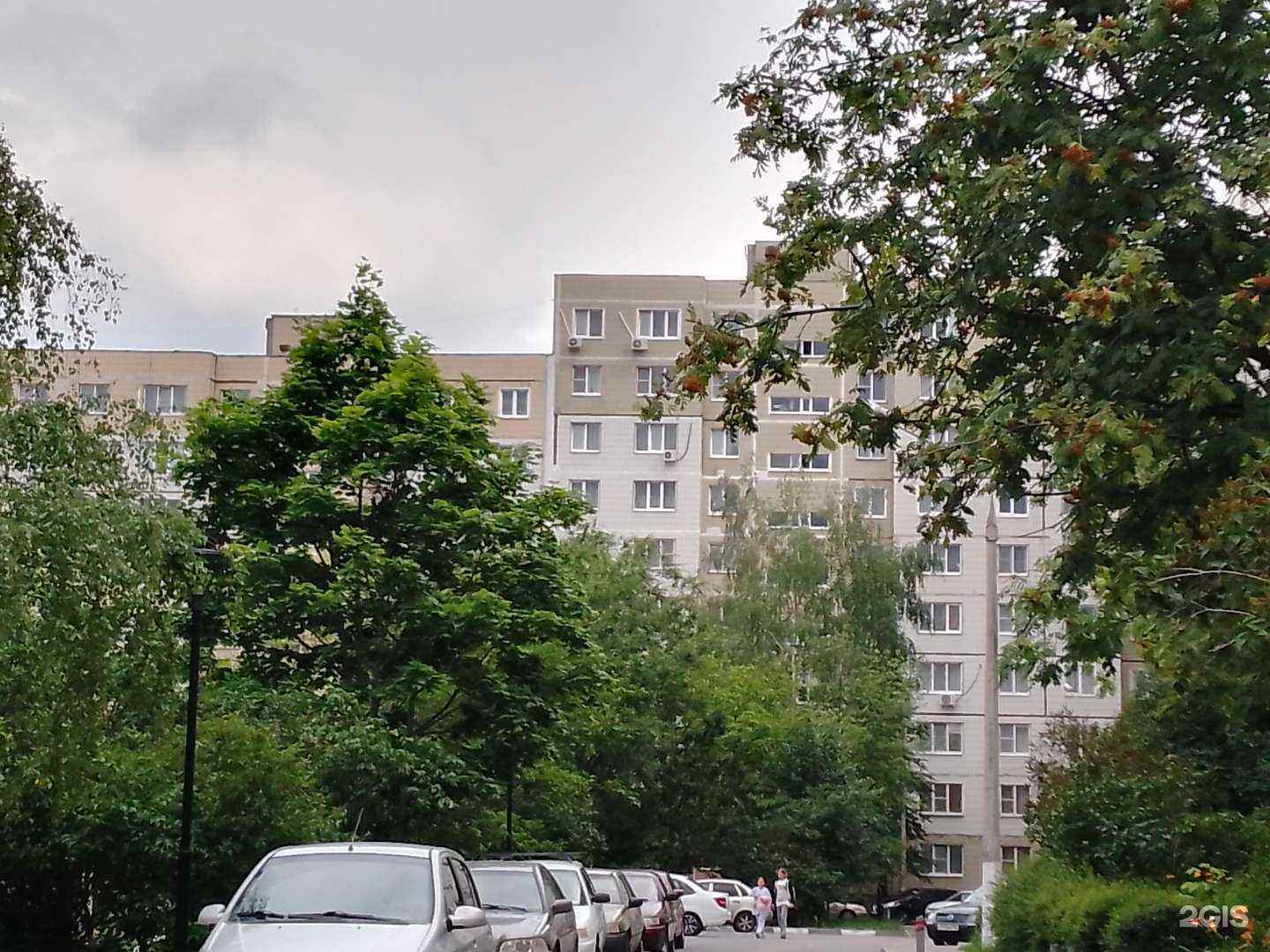 Отзывы на компанию Здравушка в Старом Осколе c фото - фотография 2 из 2