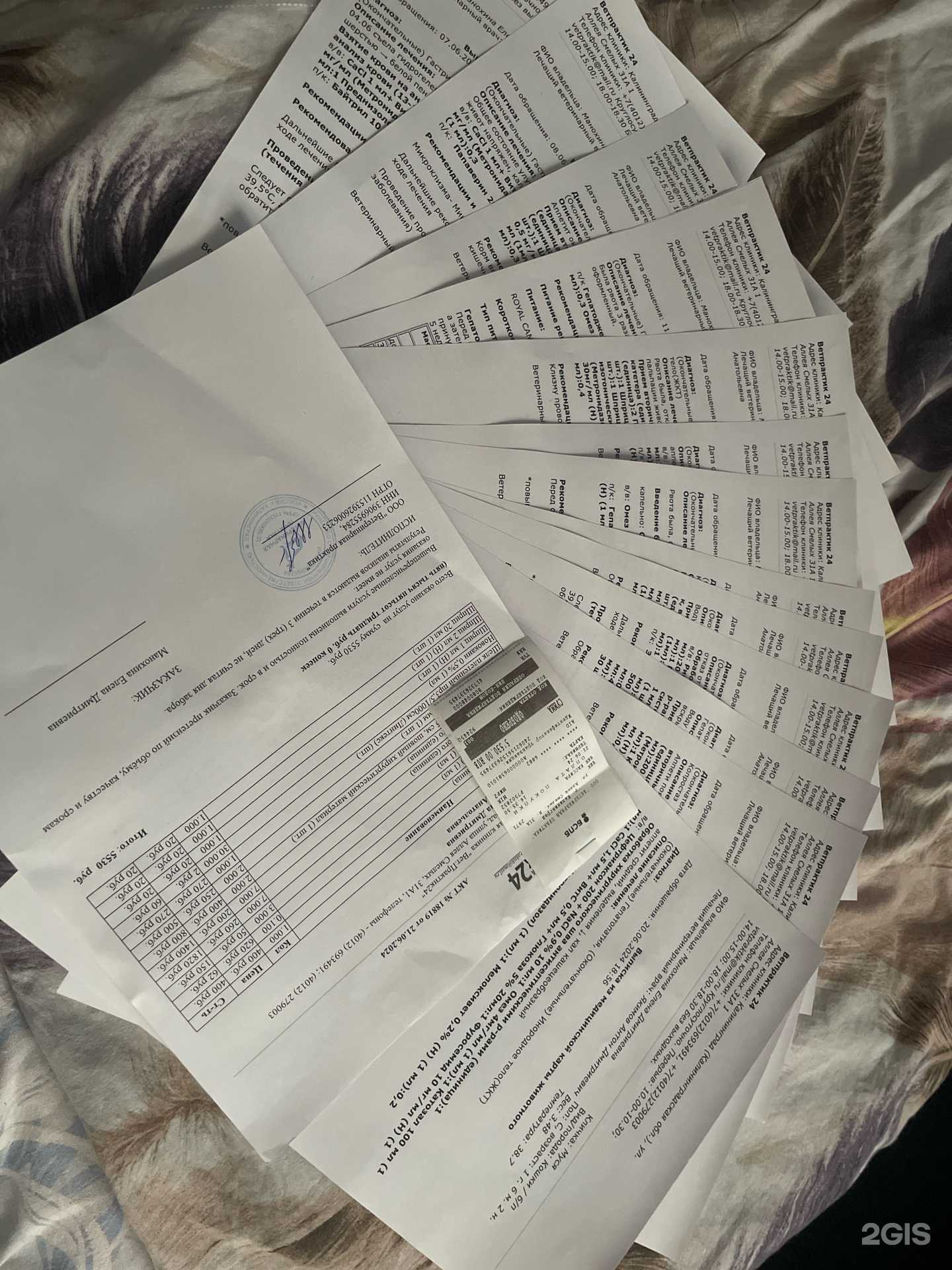 Отзывы на компанию Ветеринарная практика 24 в Калининграде c фото