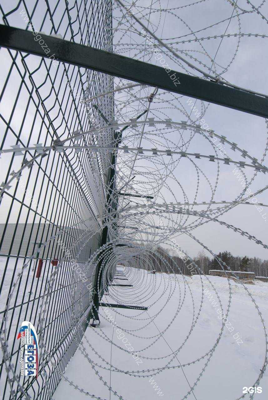 Отзывы на компанию Егоза в г. Челябинск c фото