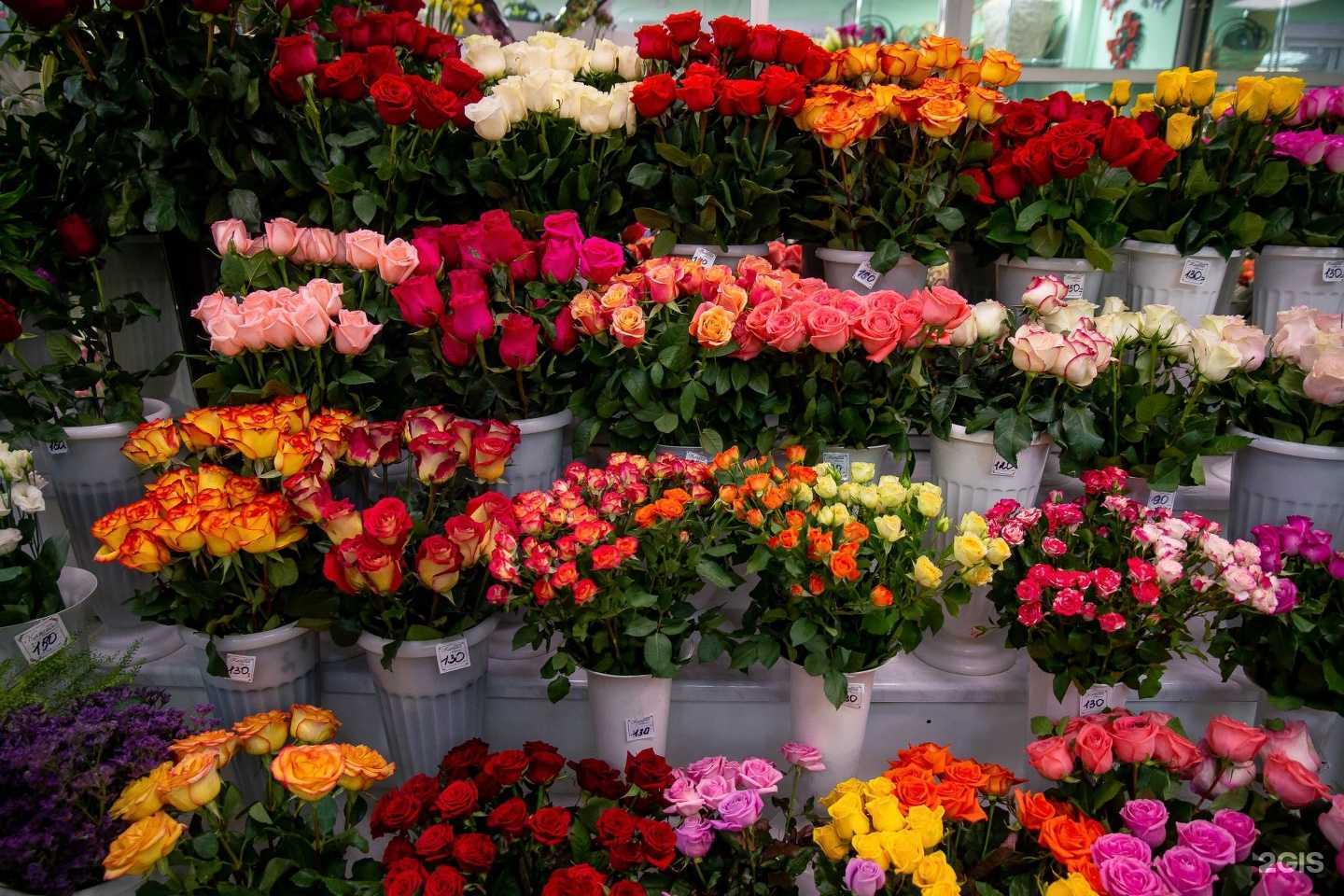 Отзывы на компанию Камелия в Ярославле c фото