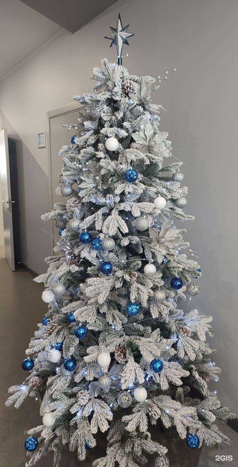 Отзывы на компанию Клиника дентальной имплантологии в г. Томск c фото